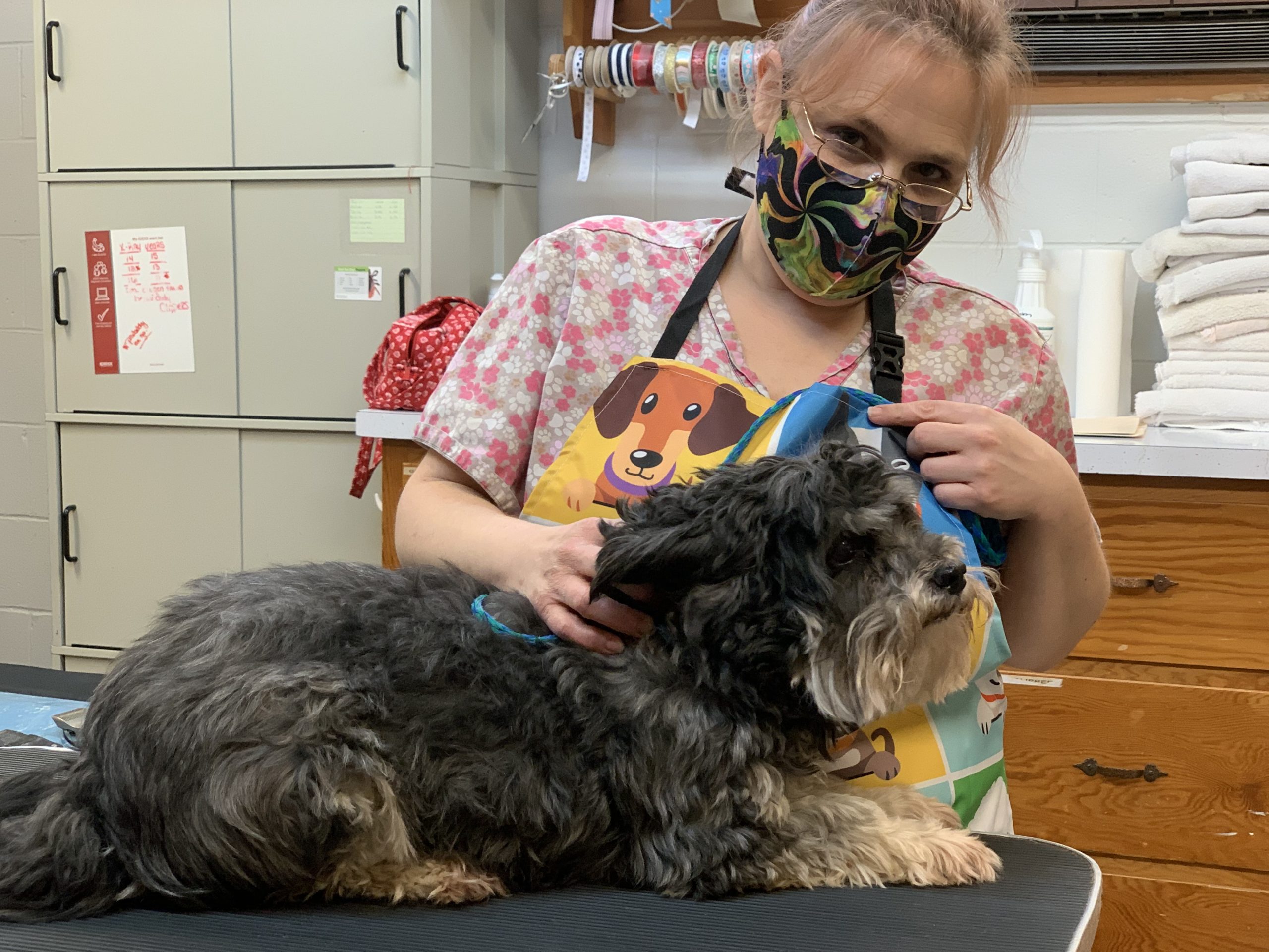 a person wearing a mask and holding a dog