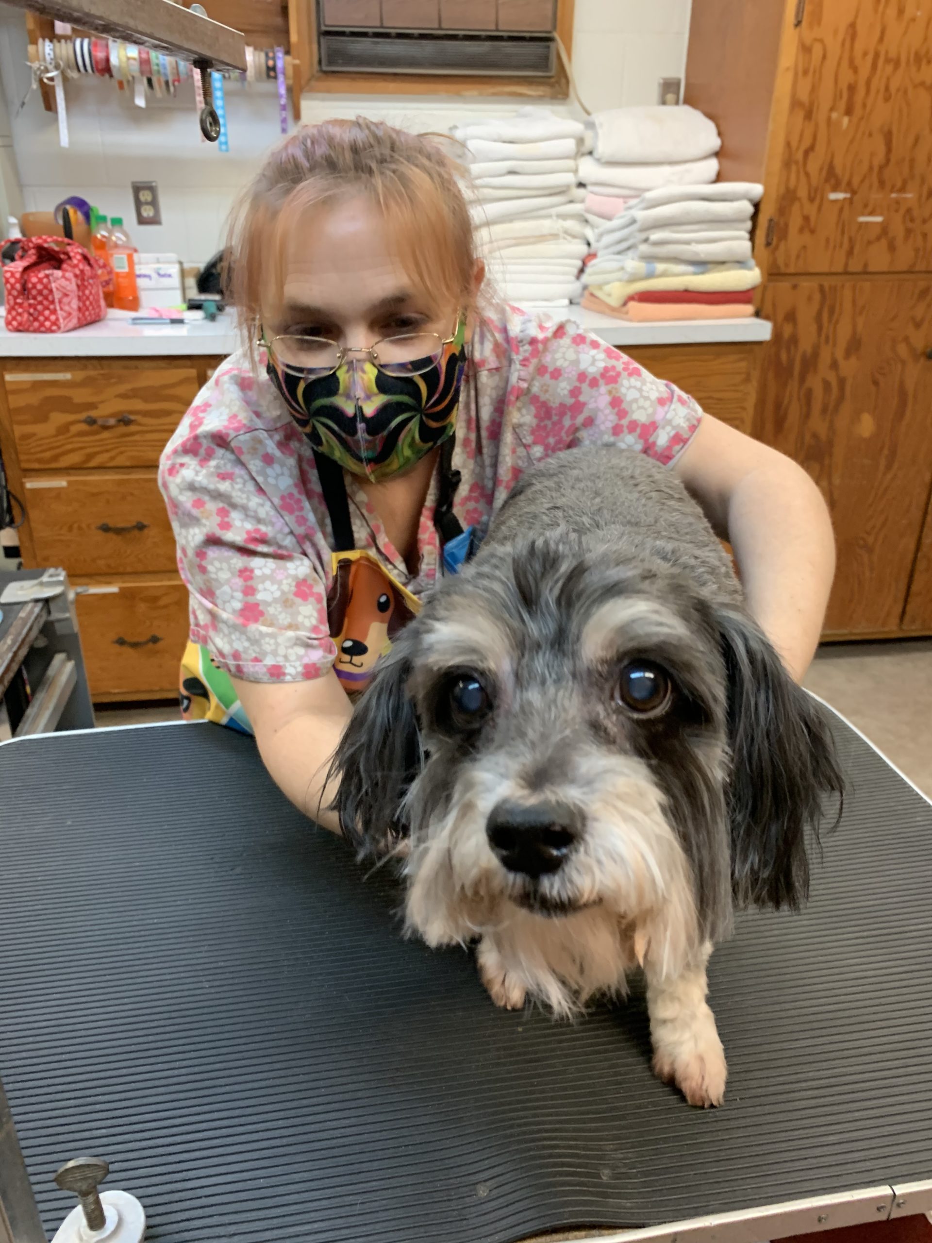 a person wearing a mask and petting a dog